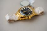 Nivada Grenchen F77 MKII Gold Black Dial Watch