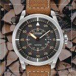 Citizen Eco-Drive 3-Hand Date Leather Watch