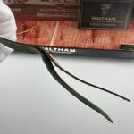 Waltham Mechanical Men's Watch with Green Dial