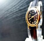 Vintage Timex Oval Dial Women's Gold & Black Watch