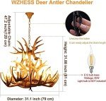 Vintage Deer Antler 12-Light Chandelier Fixture