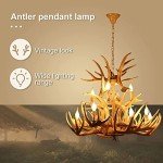 Vintage Deer Antler 12-Light Chandelier Fixture