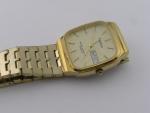 Armitron Men's Vintage Dress Watch with Day/Date