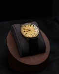 1973 Bulova Sea King GG N3 Vintage Watch