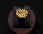 1973 Bulova Sea King GG N3 Vintage Watch