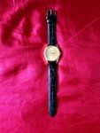 Citizen Eagle 7 AM147 Men's Vintage Automatic Watch