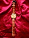 Vintage Citizen Eagle 7 Automatic Day Date Watch