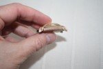 Bulova 1940s Vintage Rose Gold Winding Watch
