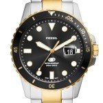 Fossil Men’s Blue Quartz Two-Tone Watch