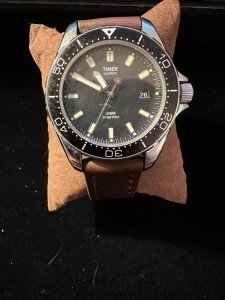 Timex Vintage Men's Dive Watch with Date Feature