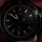 Timex Vintage Men's Dive Watch with Date Feature