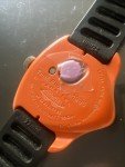 Rare Swiss Made Diver Watch - The Fish
