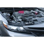 Magnetic Nut & Bolt Tray - 6"x 10" Black