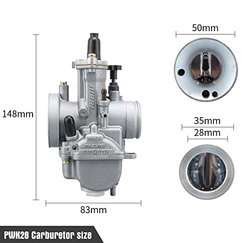 NIBBI 28MM Carburetor for Hawk 250 Motorcycle