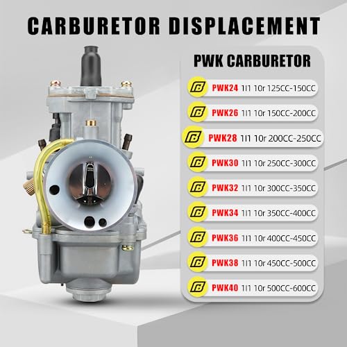 NIBBI 28MM Carburetor for Hawk 250 Motorcycle