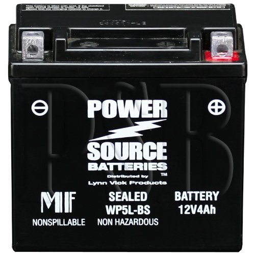 High Performance Hawk 250 Motorcycle Replacement Battery