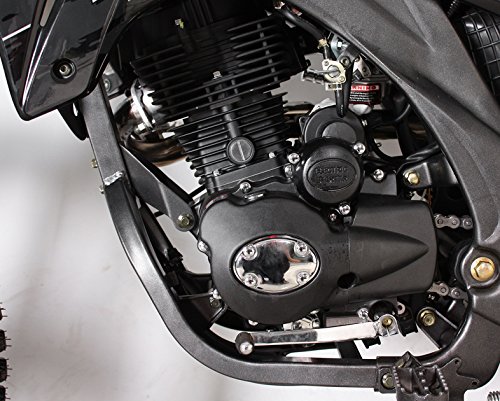 APOLLO Hawk 250cc Dirt Bike - Midnight Black
