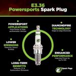 E3 Spark Plugs for Hawk 250 Motorcycle