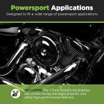 E3 Spark Plugs for Hawk 250 Motorcycle