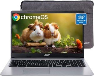 Acer Chromebook 315 with 15.6" HD Display