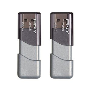256GB Turbo USB Flash Drive (Pack of 2)