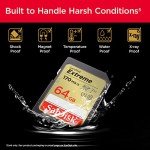 SanDisk 64GB Extreme SDXC Memory Card