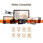 Amazon Basics 64GB MicroSDXC Memory Card 2-Pack