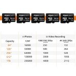 Amazon Basics 64GB MicroSDXC Memory Card 2-Pack