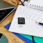 SanDisk 256GB High Endurance MicroSD Card