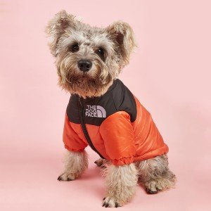 Large Dog Winter Snow Jacket - Windproof & Warm