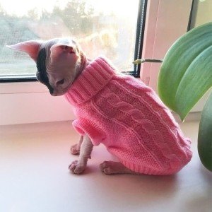 Cute Cotton Clothing for Cats and Small Dogs