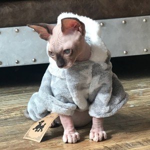Cozy Fleece Costume for Dogs and Cats