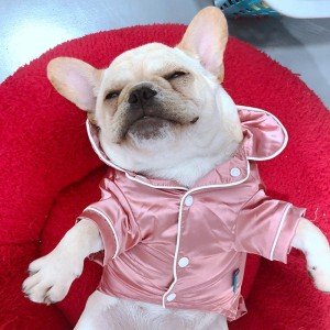 Soft Silk Pajamas for French Bulldogs and Small Dogs