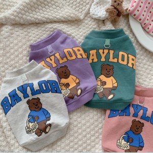 Cute Bear Letter Print Dog Hoodie for Winter
