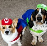 Mario & Luigi Halloween Pet Harness for Dogs/Cats