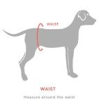 Alice in Wonderland Queen of Hearts Dog Costume