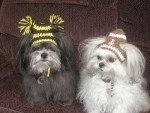 Cheerleader Team Hat for Dogs and Cats