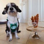 Classic Green Puppbucks Dog Lover's Apron