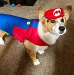 Mario & Luigi Halloween Pet Harness for Dogs/Cats