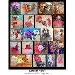 Dog Tutu Dress Sewing Pattern for Pets