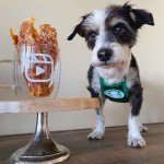 Classic Green Puppbucks Dog Lover's Apron