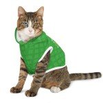 Funny Irish Dog Hoodie for St. Patrick's Day