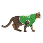 Funny Irish Dog Hoodie for St. Patrick's Day