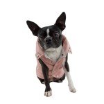 Faux Leather Biker Vest for Dogs