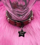 Personalized Engraved Stainless Steel Dog Collar Tag