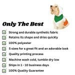 St. Patrick’s Day Shamrock Pet Hoodie for Dogs