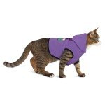 Barker Funny Pet Hoodie for Dog and Cat