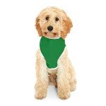 St. Patrick's Day Shamrock Dog Hoodie Outfit