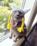 Viking Hat for Small Dogs and Cats
