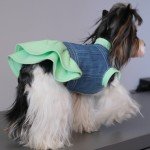 Trendy Denim Vest Tutorial for Dogs - L Size